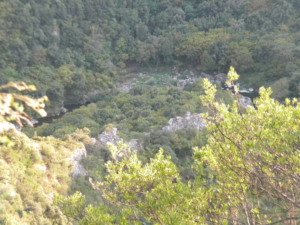 DSCN2645 .JPG